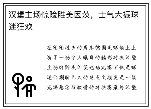 汉堡主场惊险胜美因茨，士气大振球迷狂欢